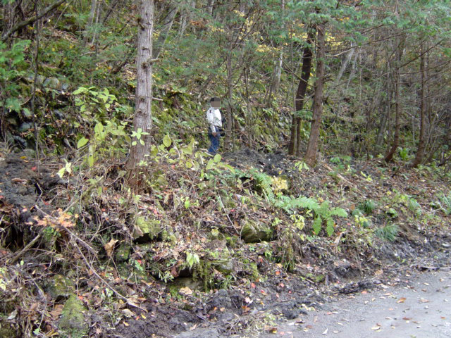 ����X�ѓS�������,�ѓS,�p����,�O����,�㏼�^�A�c�я�,����c�ы�