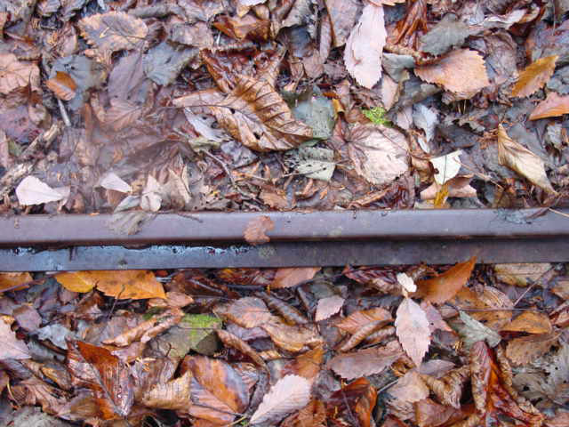 ����X�ѓS�������,�ѓS,�p����,�i���[�O����,���[��,���H