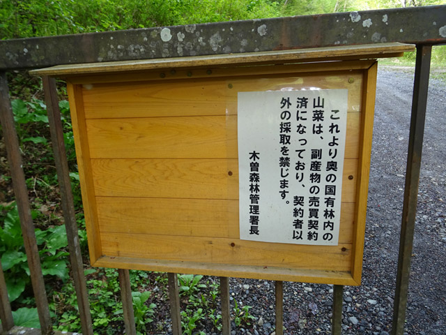 ����X�ѓS�������,�ѓS,�p����,����a�ѓ�,�Q�[�g,���L��,�R�؍̂�