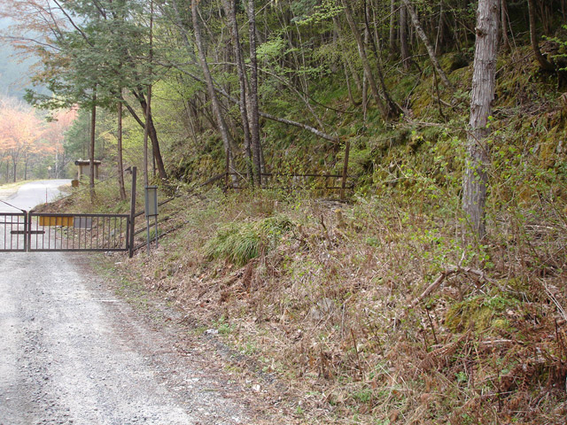 ����X�ѓS�������,�ѓS,�p����,�i���[�O����,�Q�[�g,�ѓ�