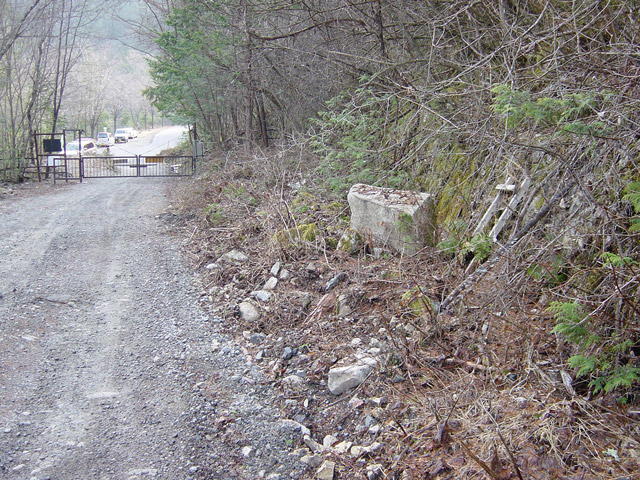 ����X�ѓS�������,�ѓS,�p����,�g���b�R�O����,�Q�[�g,�ѓ�