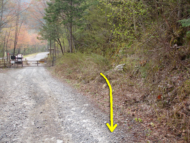 ����X�ѓS�������,�ѓS,�p����,�؍މ^���O����,�ؑ]�X�ъǗ���,�ѓ�