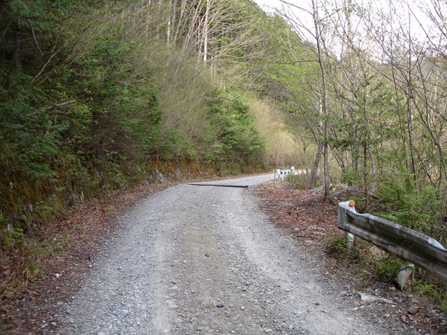 ����X�ѓS�������,�ѓS,�p����,�؍މ^���O����,���L��,�ѓ�