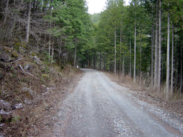 ����X�ѓS�������,�ѓS,�p����,�؍މ^���O����,����,�y�؋O��