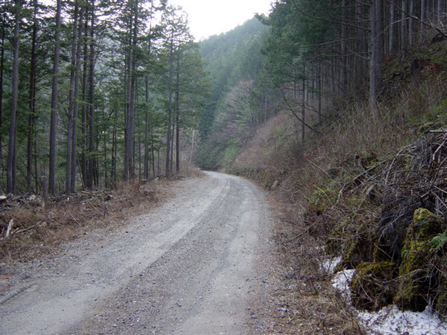 ����X�ѓS�������,�ѓS,�p����,�؍މ^���O����,�ѓ�,�����X�ъǗ���