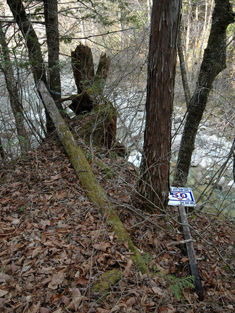 ����X�ѓS�������,�ѓS,�p����,�O����,�ʐM��,�W��