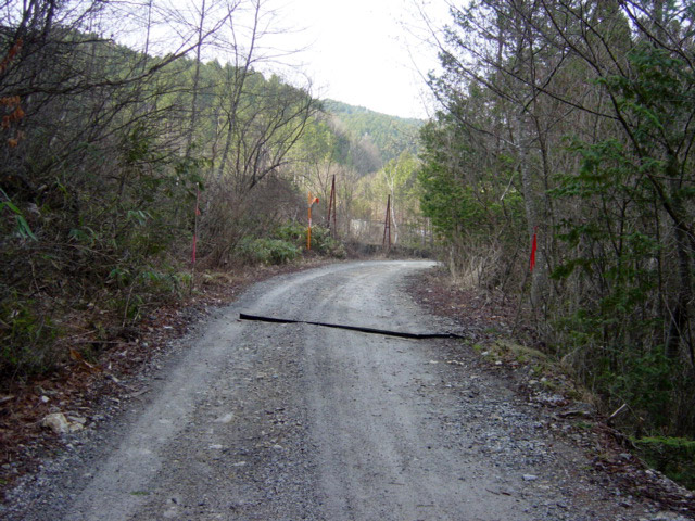 ����X�ѓS�������,�ѓS,�p����,�O����,�܌�������ԏ�,�㏼�^�A�c�я�