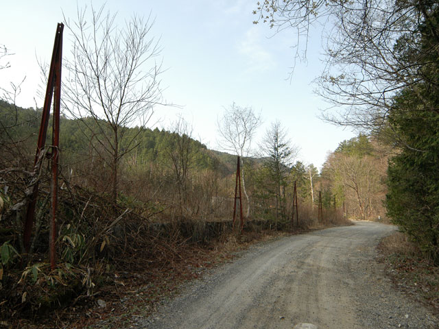 ����X�ѓS�������,�ѓS,�p����,�O����,�܌�������ԏ�,�������X�ѓS��