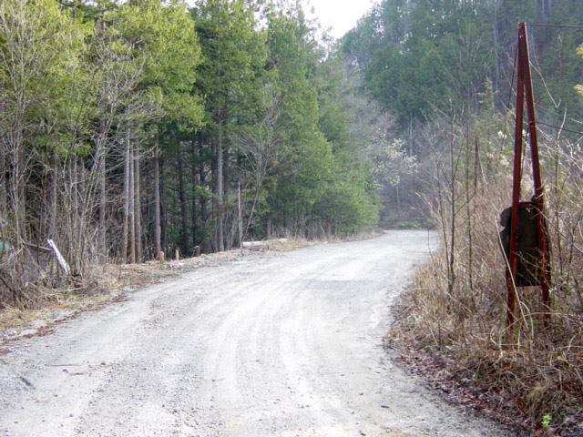 ����X�ѓS�������,�ѓS,�p����,�؍މ^���O����,�܌�������ԏ�,�㏼�^�A�c�я�