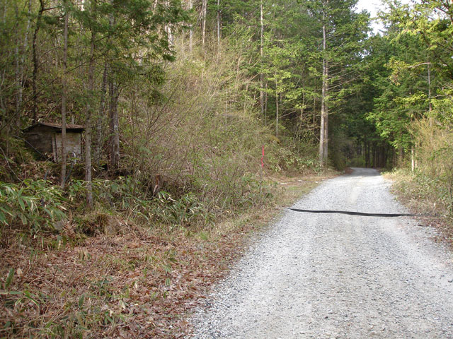 ����X�ѓS��,�ѓS,�p����