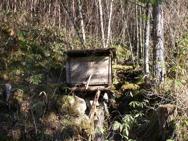 ����X�ѓS��,�ѓS,�p����