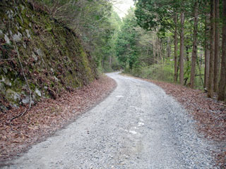 ����X�ѓS��,�ѓS,�p����