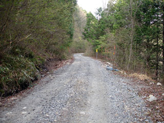 ����X�ѓS��,�ѓS,�p����