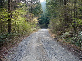 ����X�ѓS��,�ѓS,�p����