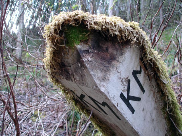 ����X�ѓS��,�ѓS,�p����