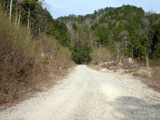 ����X�ѓS�������,�ѓS,�p����