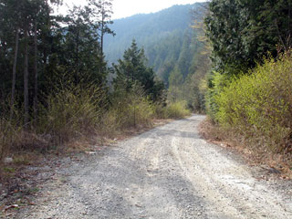 ����X�ѓS�������,�ѓS,�p����