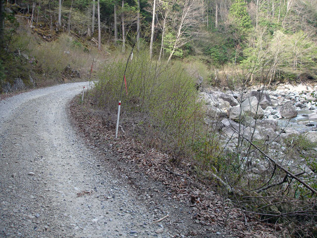 ����X�ѓS�������,�ѓS,�p����