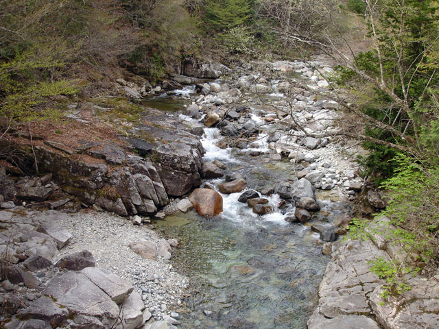 ����X�ѓS�������,�ѓS,�p����,����,�k�ґ�