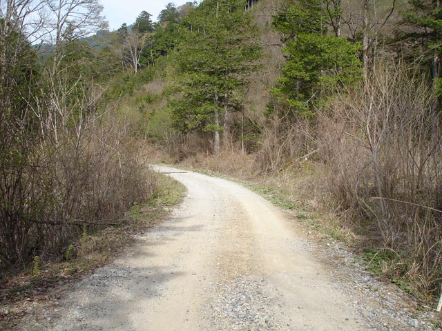 �ؑ]�X�ѓS�������,�ѓS,�p����