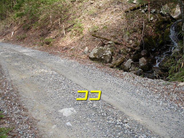 �ؑ]�X�ѓS�������,�ѓS,�p����,���m�򋴗�