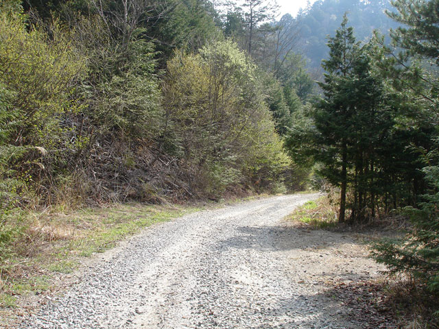 ����X�ѓS�������,�ѓS,�p����