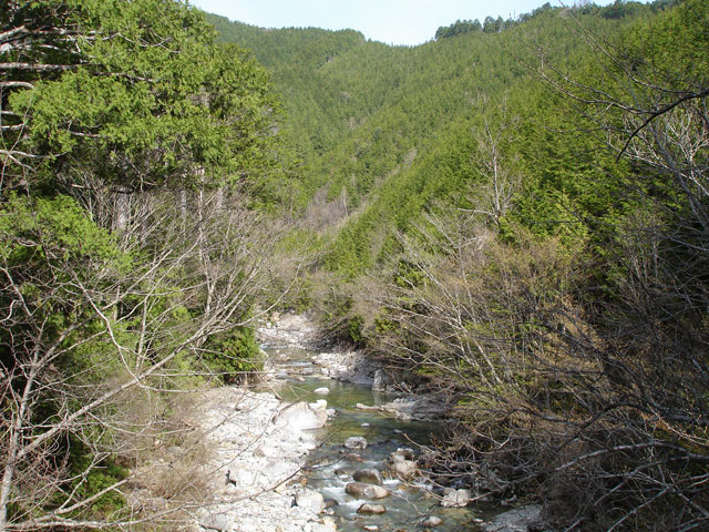 ����X�ѓS�������,�ѓS,�p����