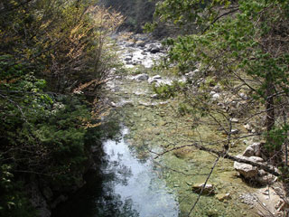 ����X�ѓS�������,�ѓS,�p����