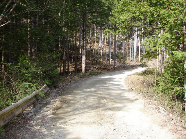 ����X�ѓS��,�ѓS,�p����