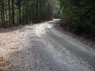 ����X�ѓS��,�ѓS,�p����