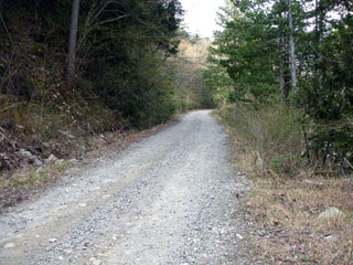 ����X�ѓS��,�ѓS,�p����