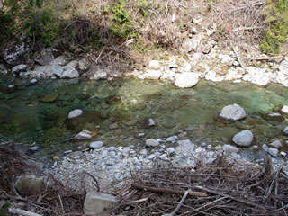 ����X�ѓS��,�ѓS,�p����