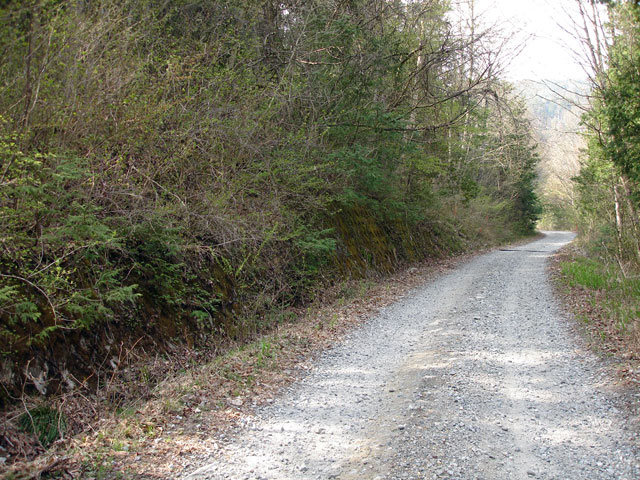 ����X�ѓS��,�ѓS,�p����