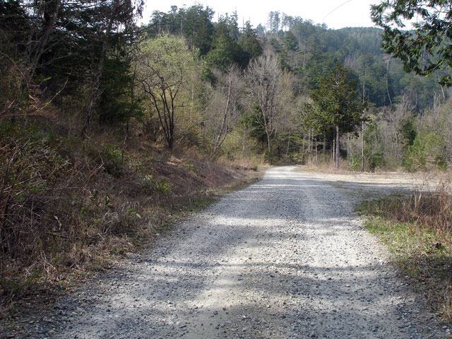 ����X�ѓS�������,�����ԏ�,�ѓS,�p����,�X�C�b�`�o�b�N