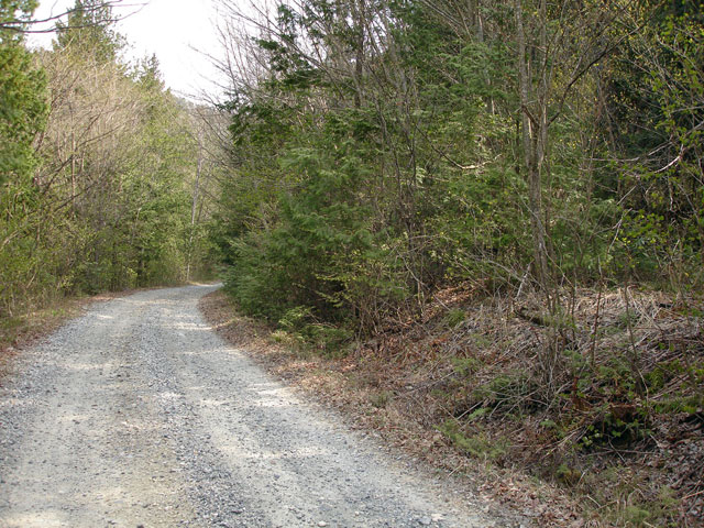 ����X�ѓS�������,�����ԏ�,�ѓS,�p����,�X�C�b�`�o�b�N