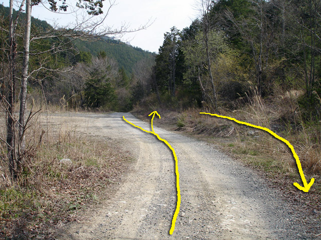 ����X�ѓS�������,�����ԏ�,�ѓS,�p����,�X�C�b�`�o�b�N