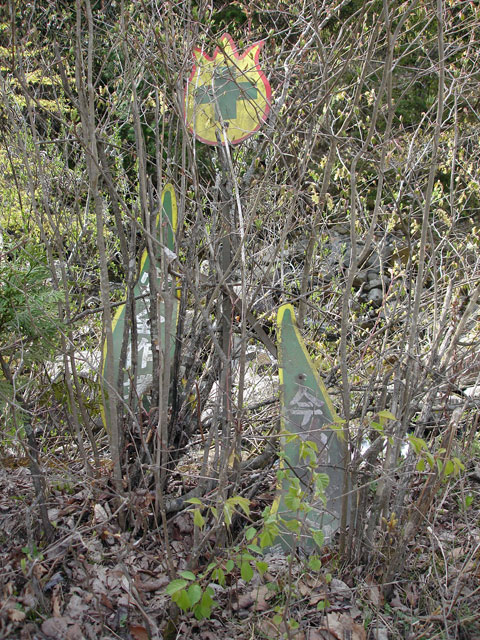 ����X�ѓS�������,�����ԏ�,�ѓS,�p����,�X�C�b�`�o�b�N