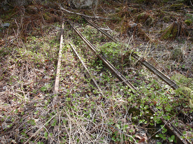 ����X�ѓS�������,�����ԏ�,�ѓS,�p����,�X�C�b�`�o�b�N