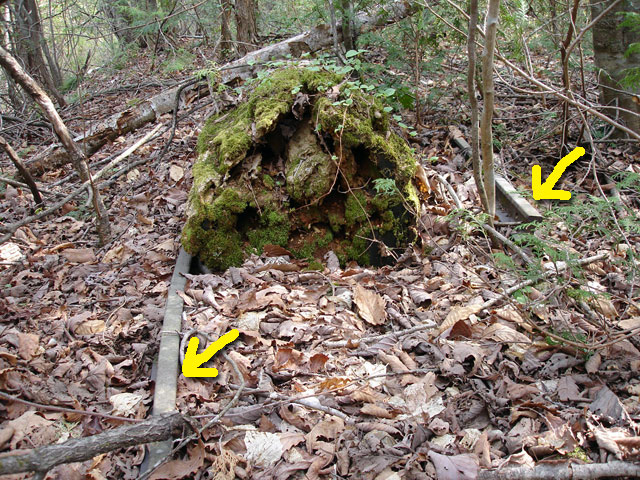 ����X�ѓS�������,�����ԏ�,�ѓS,�p����,���[��