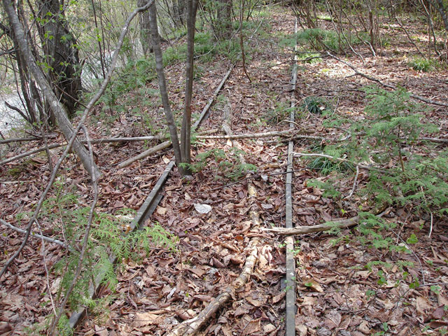 ����X�ѓS�������,�����ԏ�,�ѓS,�p����,���[��