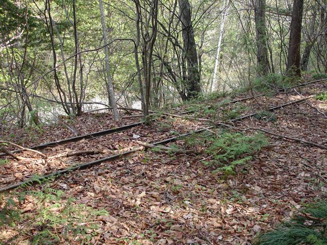 ����X�ѓS�������,�����ԏ�,�ѓS,�p����,���[��