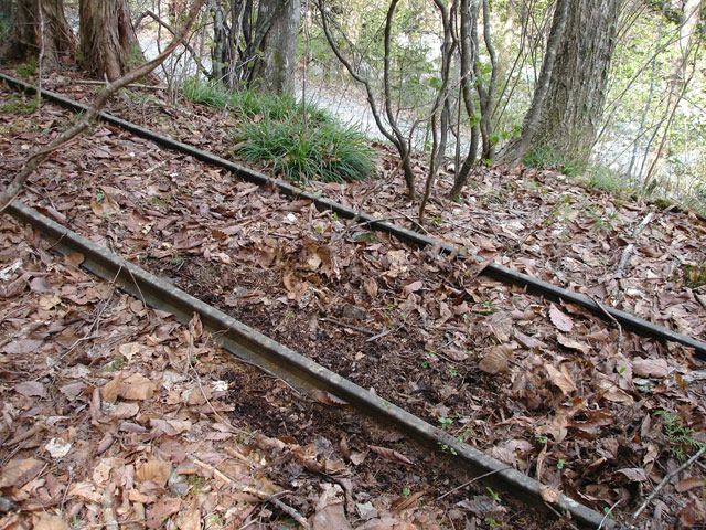 ����X�ѓS�������,�����ԏ�,�ѓS,�p����,���[��