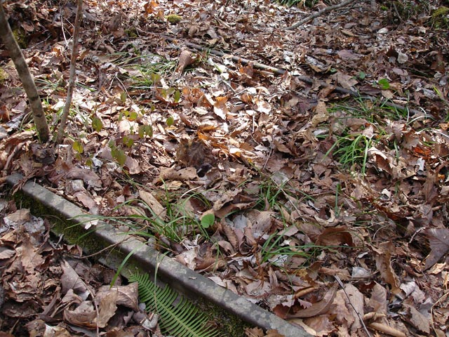 ����X�ѓS�������,�����ԏ�,�ѓS,�p����,���[��