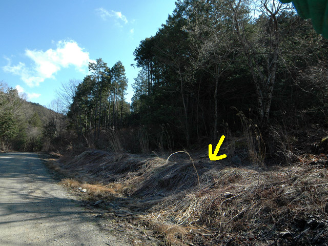 �ؑ]�X�ѓS��,����ѓS,�p����,�����ԏ�