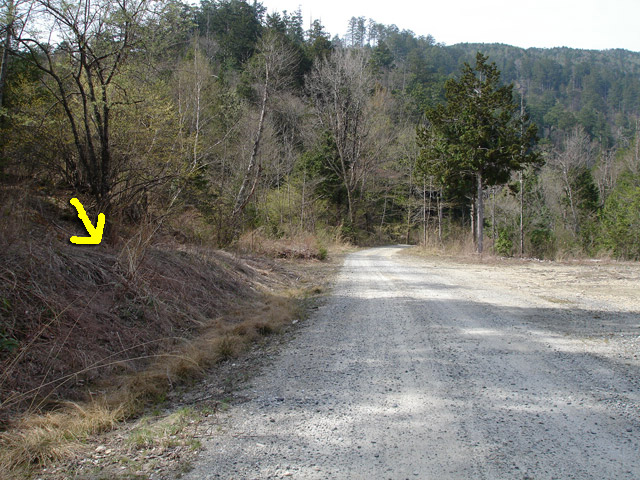 �ؑ]�X�ѓS��,����ѓS,�p����,�����ԏ�