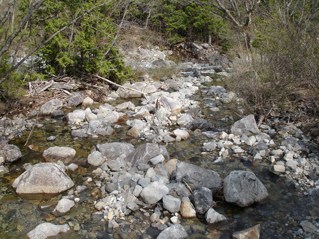 �㏼�c�я�,����X�ѓS��,�ѓS,�p����