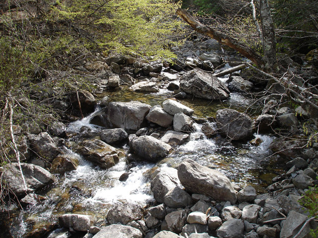 �㏼�c�я�,����X�ѓS��,�ѓS,�p����