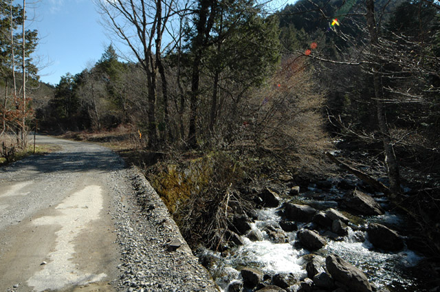 �㏼�c�я�,����X�ѓS��,�ѓS,�p����