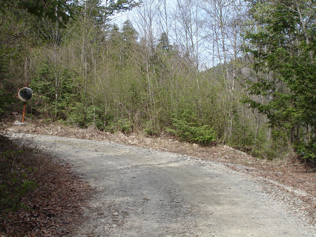 �ؑ]�X�ѓS��,����ѓS,�p����,�w�A�s���J�[�u