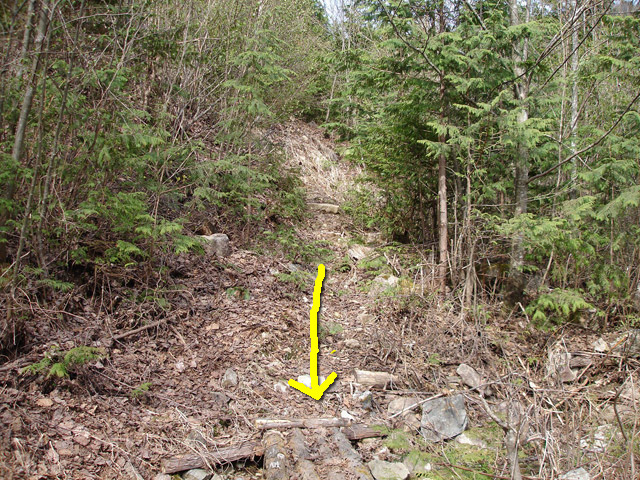 �ؑ]�X�ѓS��,����ѓS,�p����,�w�A�s���J�[�u